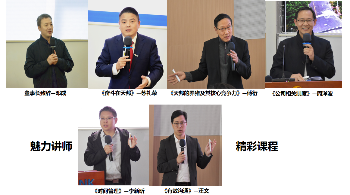 一个BG大游 (1).png